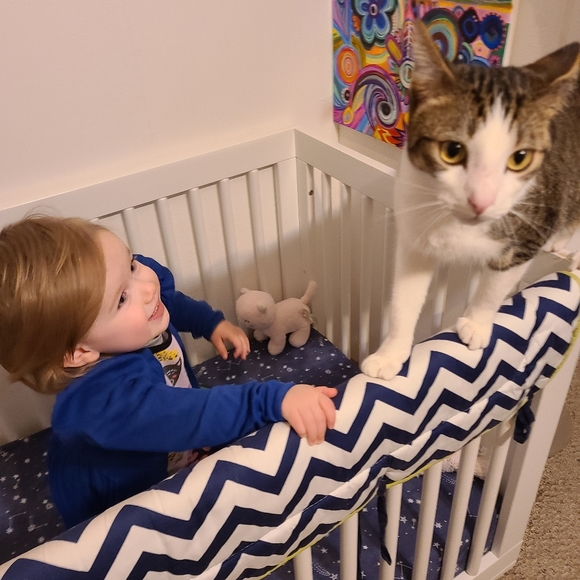 πΌπΈπHi everyone!ππΈπΌ - Picture 11 of 12